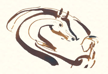 Logo de Jerome Dumont , equicoaching et equitation ethologique e