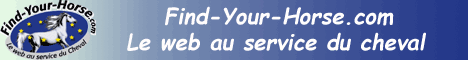 Divers sur Find Your Horse
