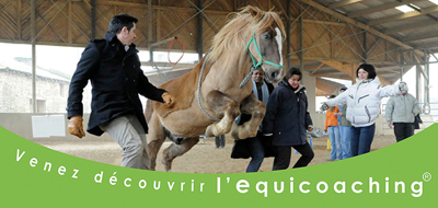 equicoaching-kanyoconsulting_atelierdecouverte2013